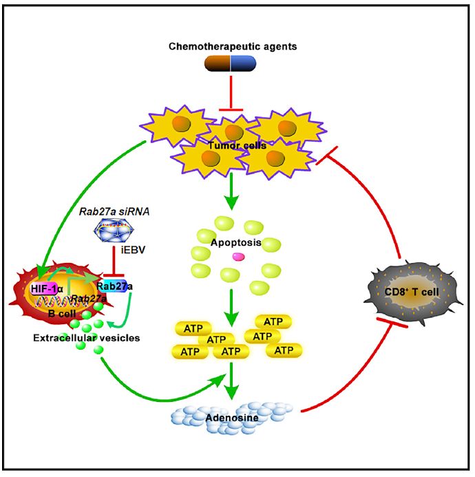008pg国际官网版