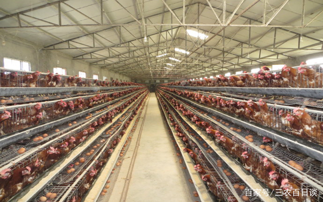 008pg国际版官网入口