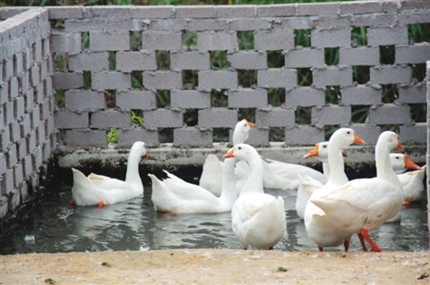 008pg国际版官网入口