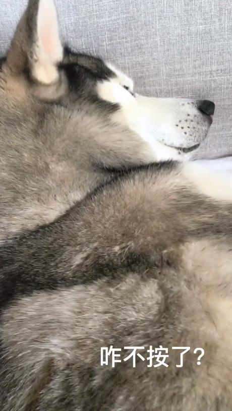 008pg国际版官网入口