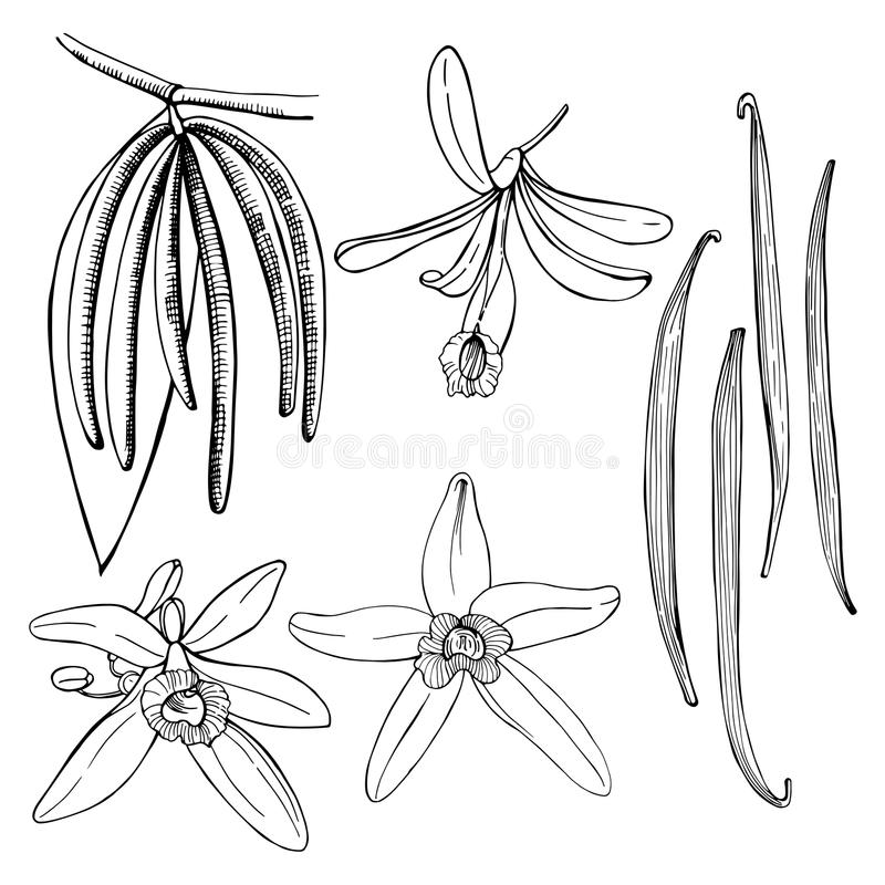 pg国际008国际官网