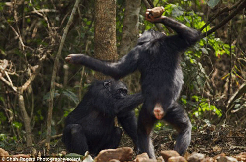 008pg国际版官网入口