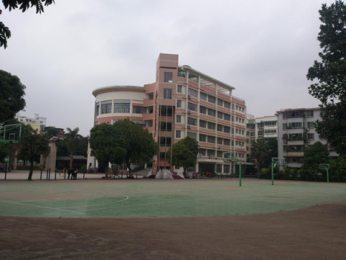 008pg国际官网版