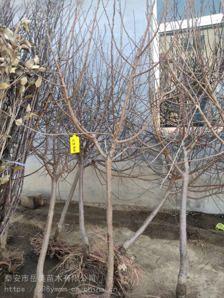 008pg国际版官网入口