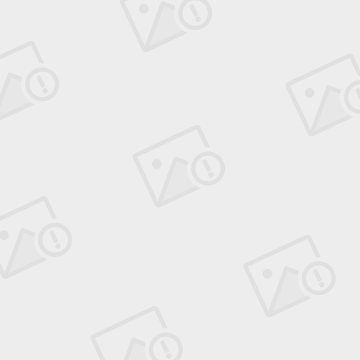 008pg国际官网版