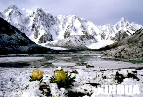 pg国际008国际官网