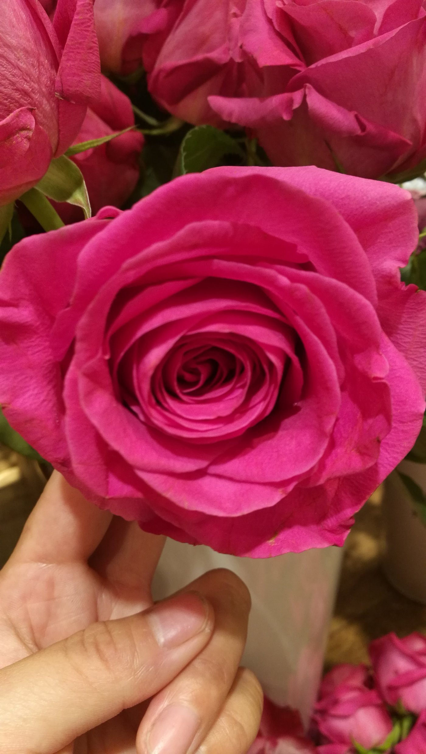 008pg国际官网版