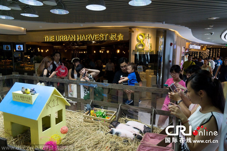 追梦称誉博古特:没有他 我的防卫不及如今一半【pg国际008国际官网】(图1) 008pg国际官网版