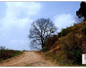 008pg国际官网版