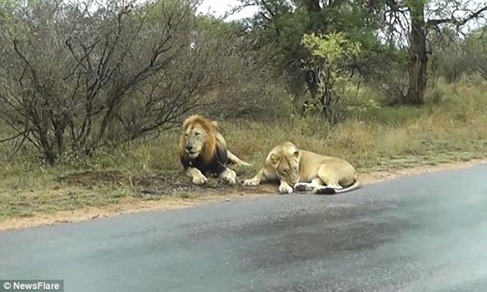 008pg国际版官网入口
