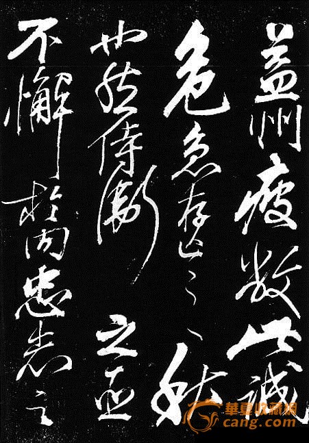 008pg国际官网版