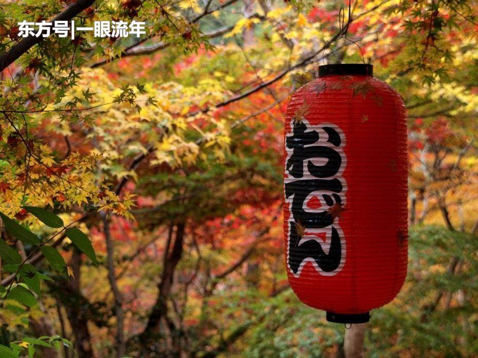 008pg国际官网版