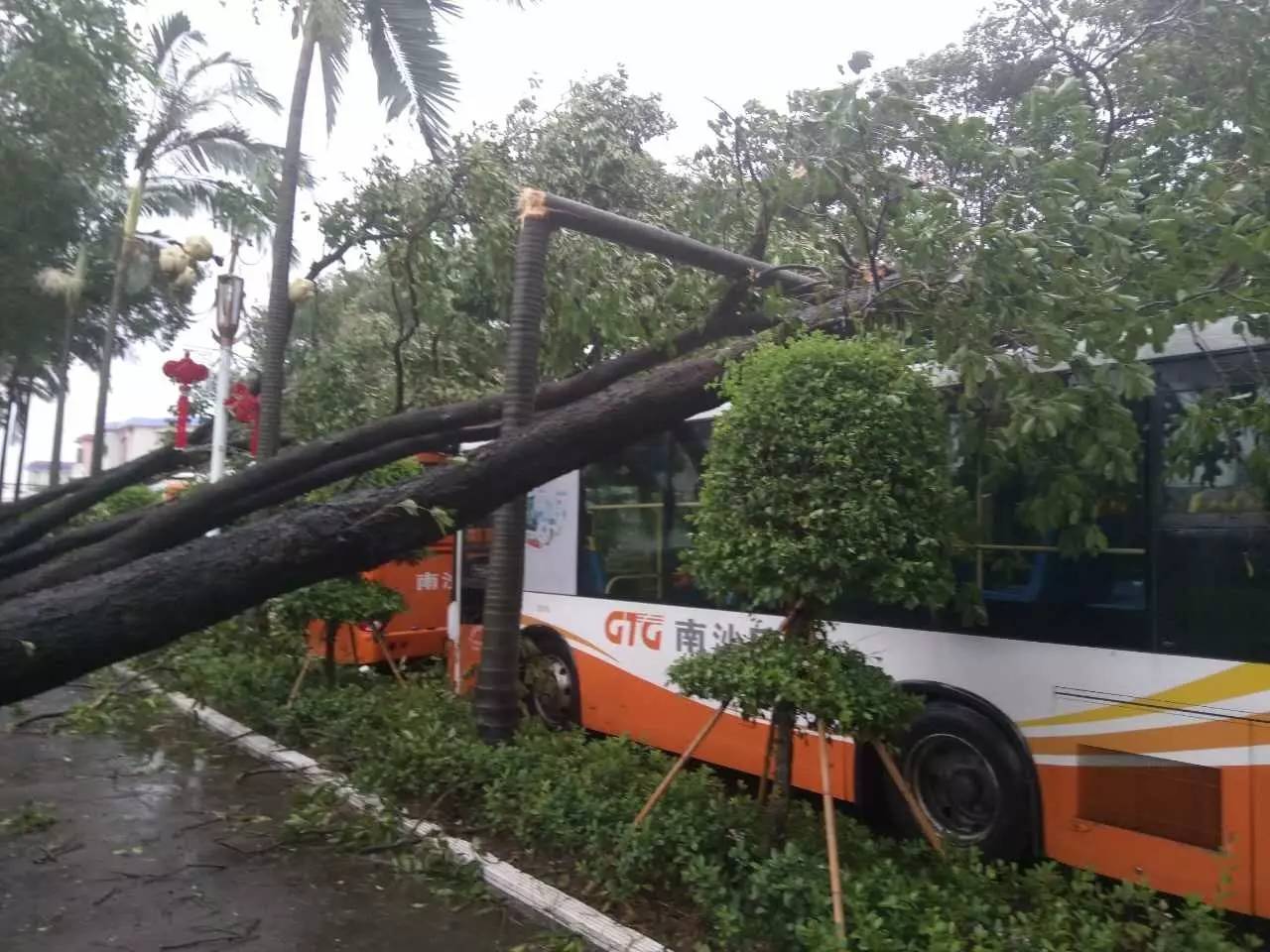 008pg国际官网版