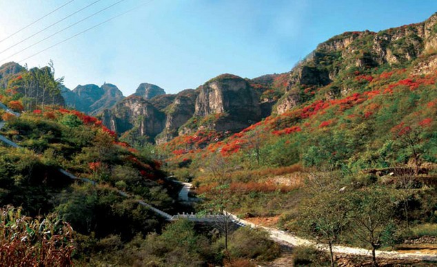 pg国际008国际官网