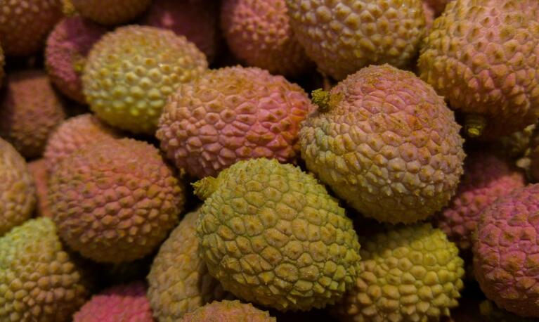 008pg国际官网版